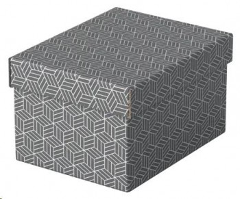 CAJA DE ALMACENAJE PEQUEÑAS 255X200X150 COLOR GRIS