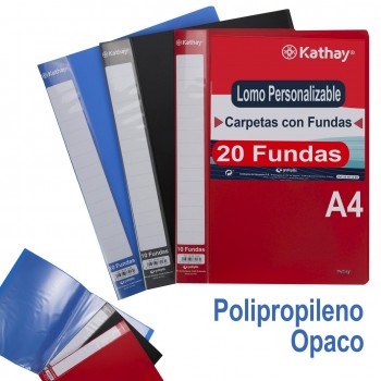 (24) CARPETA FUNDAS 20F COLOR OPACO SURTIDO LOMO PERSONALIZABLE