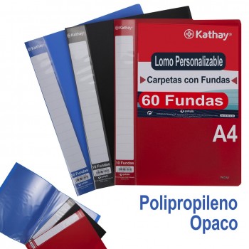 CARPETA FUNDAS 60 KATHAY COLORES SURTIDOS