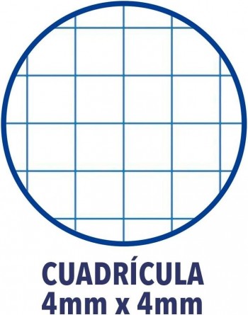 CUADERNOS OXFORD TAPA BLANDA TAMAÑO CUARTO 80 HOJAS 4X4 90GRS COLORES SURTIDO