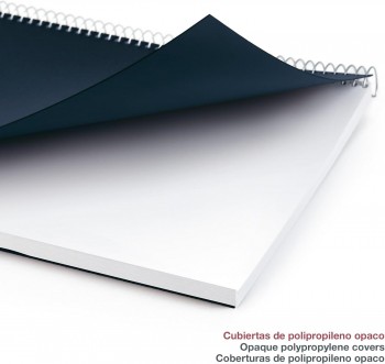 AGENDA ANUAL 2025 MIQUELRIUS PLUS 155x213 S/VV PP CITY MARINO