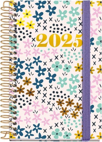 AGENDA ANUAL 2025 MIQUELRIUS CADDY 80X120 D/P SPRING