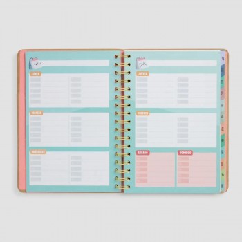 AGENDA ESCOLAR WONDERFUL 23-24 S/V TODO LO QUE VOY A LOGRAR