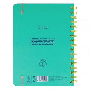 AGENDA ESCOLAR WONDERFUL 2024-2025 S/V READY PARA CELEBRAR TODO LO QUE VOY A LOGRAR