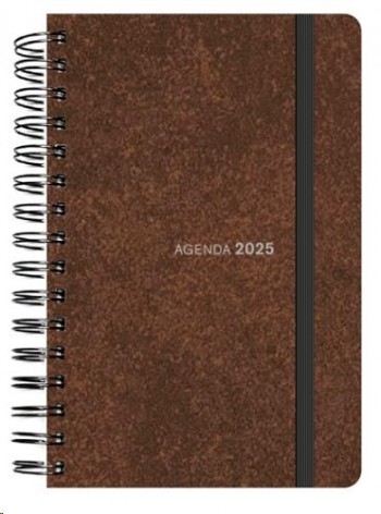 AGENDA ANUAL 2025 SENFORT 160X235 D/P STONE BRONZITE