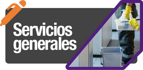 Producto 5